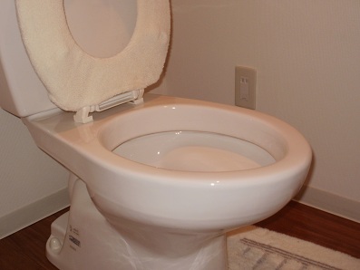 つまり修理｜札幌市　白石区｜トイレの詰まり修理　￥３，５００