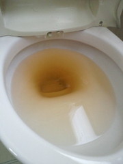 トイレつまり修理