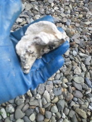 つまり修理　｜札幌市　南区　常盤｜排水管高水圧洗浄　￥１８，３６０税込